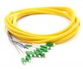 lc-apc-jacketed-12pk-sm-yellow-jacketed-fiber-pigtails-3-meters